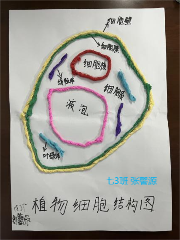 图片 28