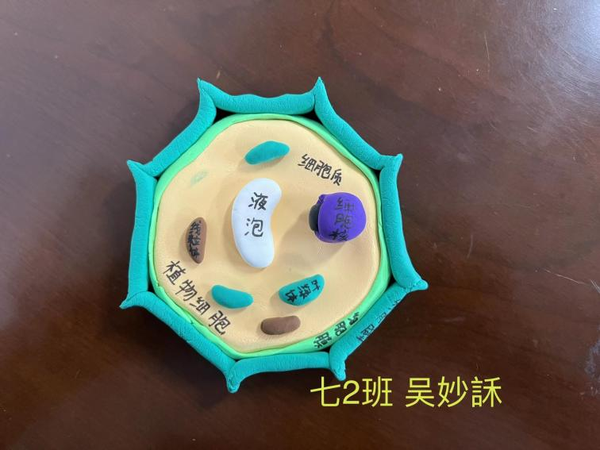 图片 31
