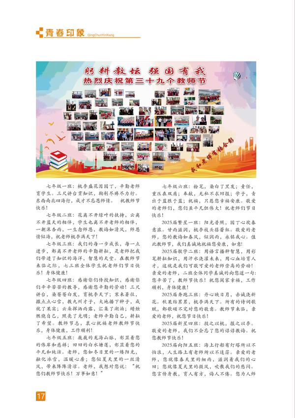 页码 (17)