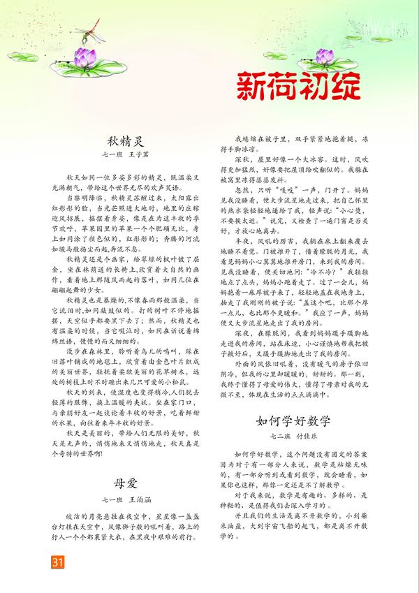 页码 (31)