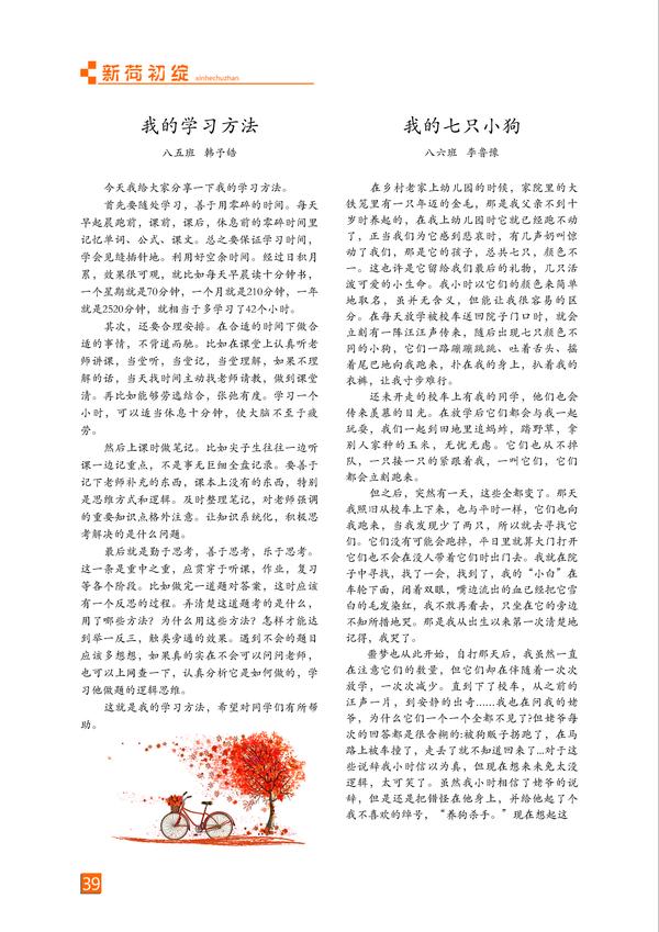 页码 (39)