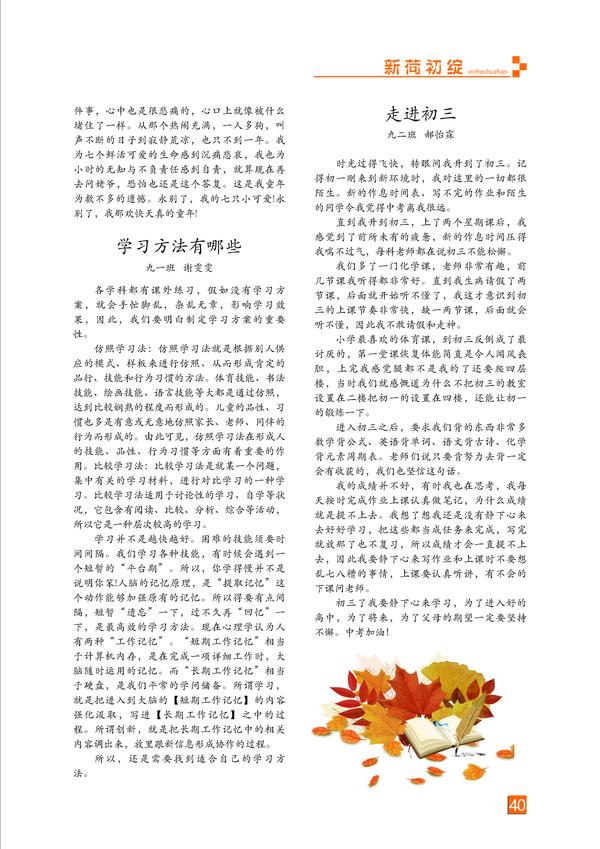 页码 (40)