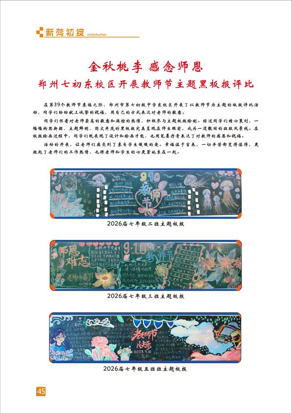 页码 (45)
