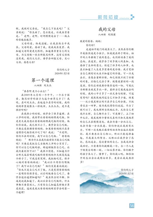 页码 (56)