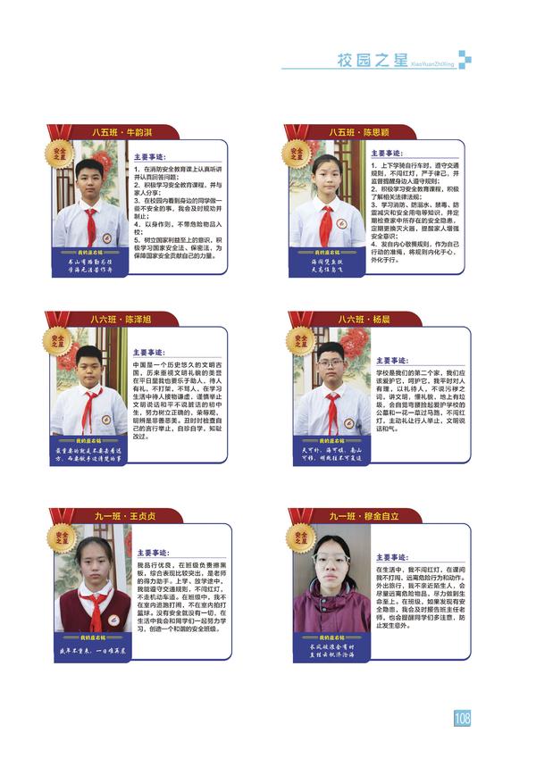 页码 (108)