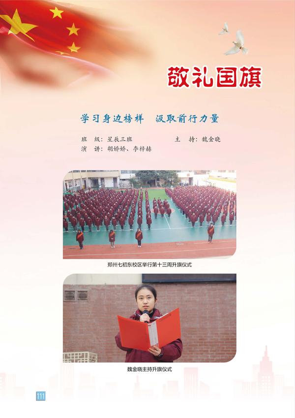 页码 (111)