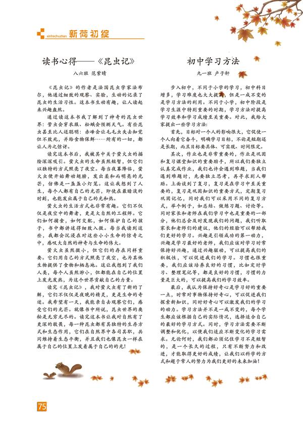页码 (75)