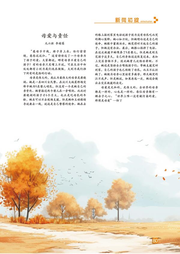 页码 (80)