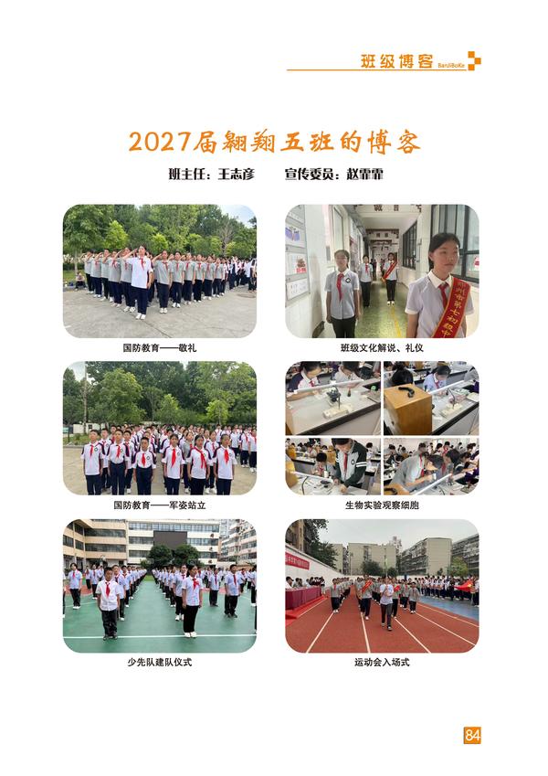页码 (84)