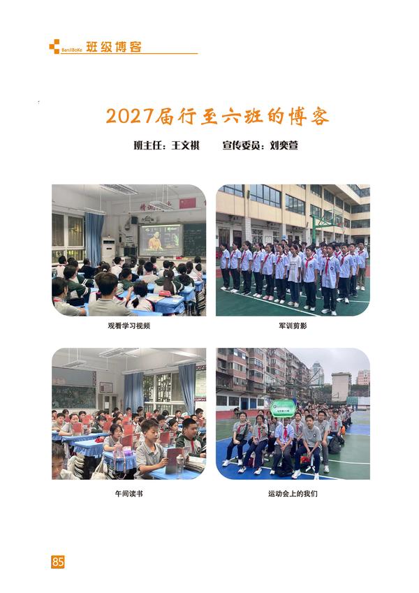 页码 (85)