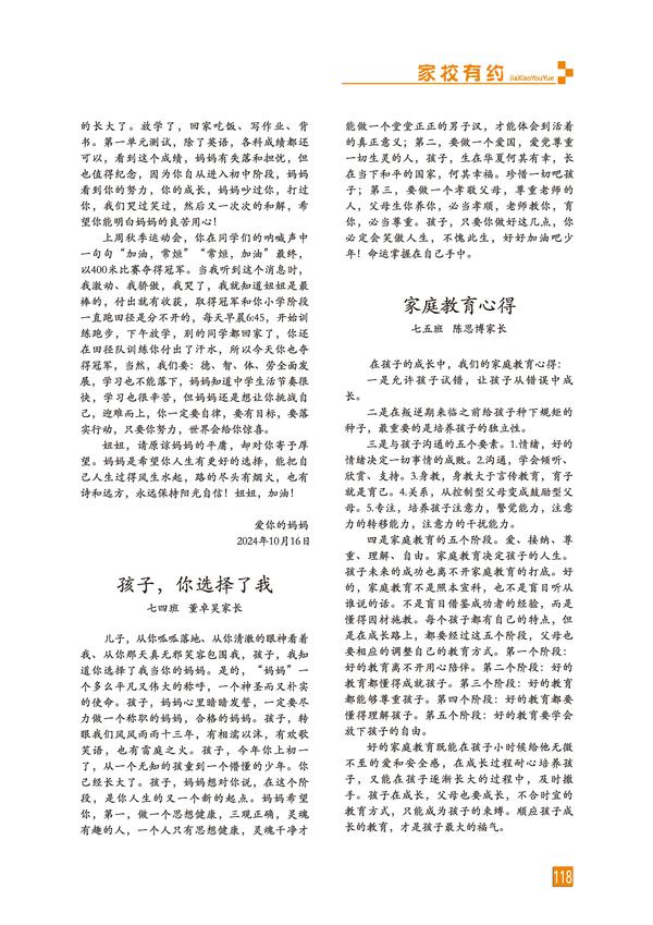 页码 (118)