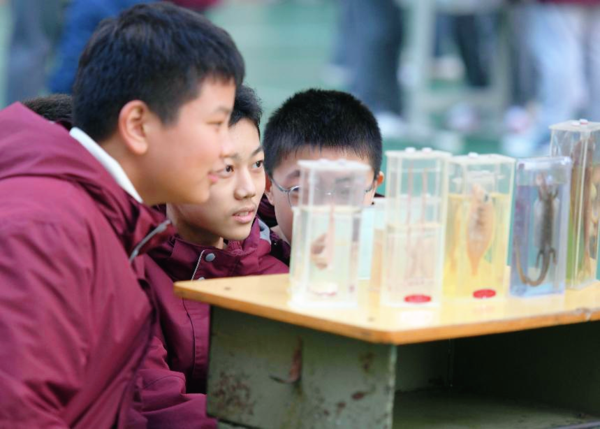 科学节 (4)
