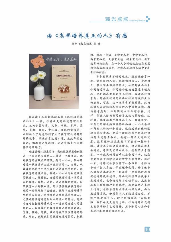 页码 (10)