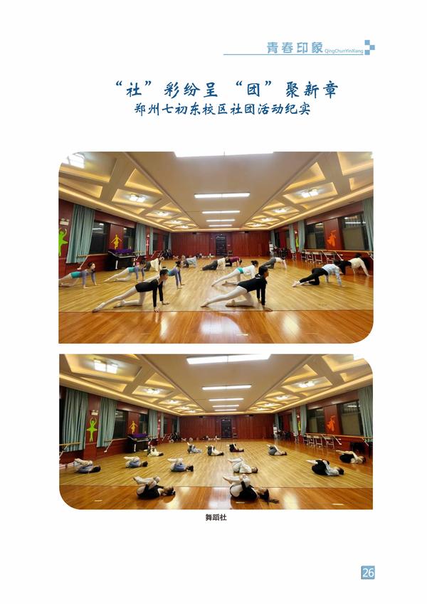 页码 (26)