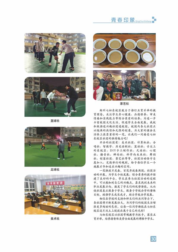 页码 (30)