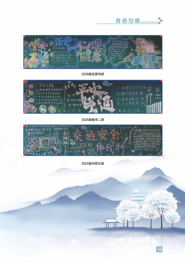 页码 (56)