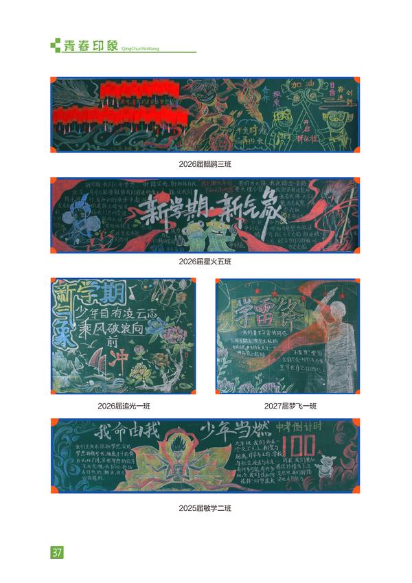 页码 (37)