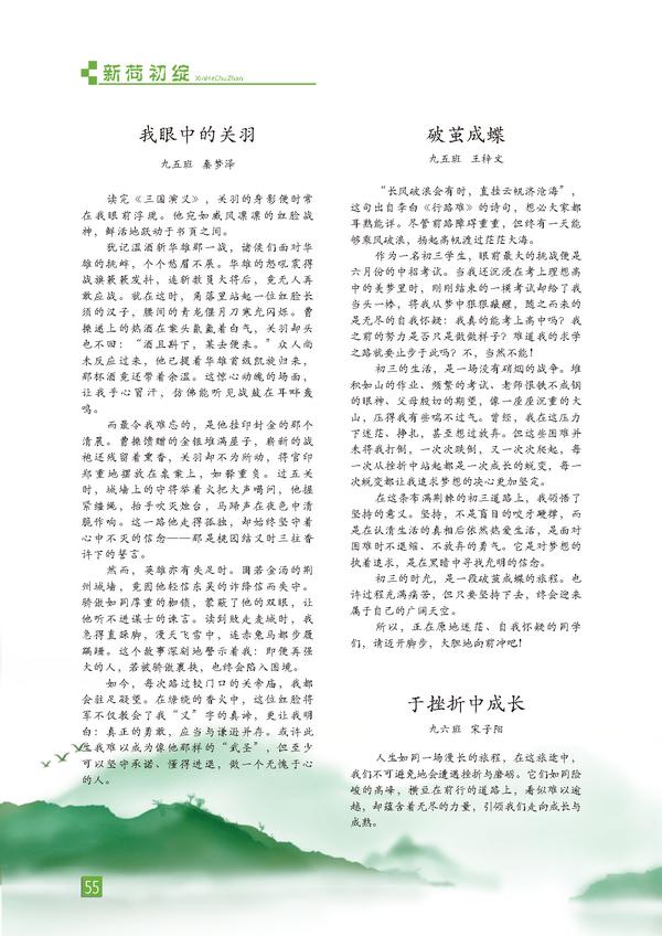 页码 (55)