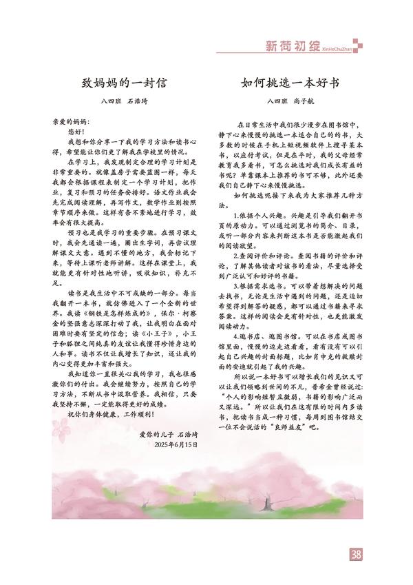 页码 (38)