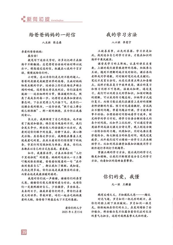 页码 (39)