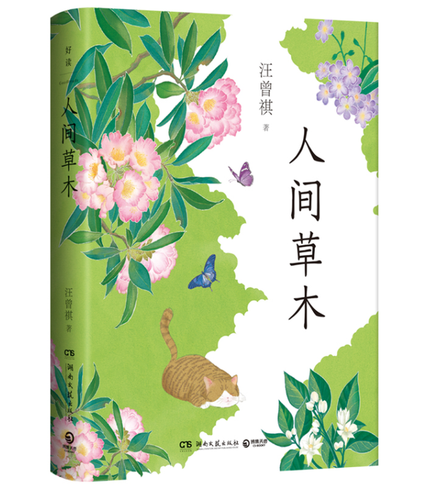 人间草木