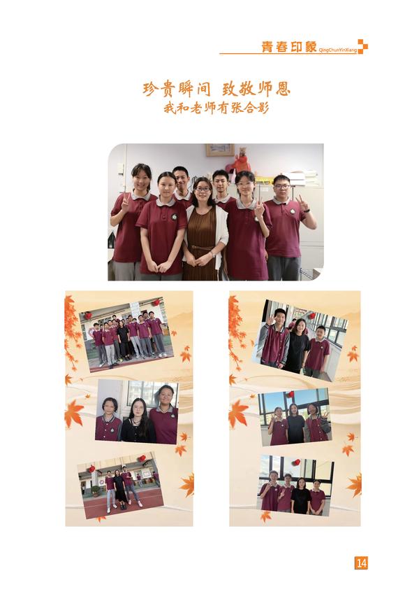 页码 (14)
