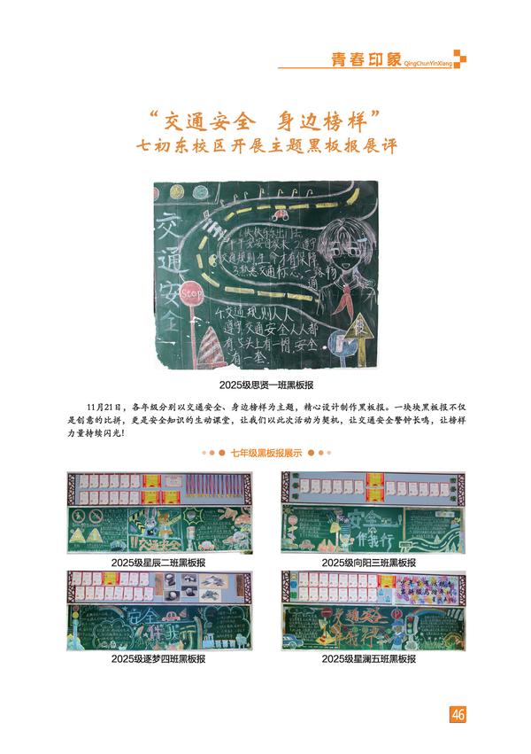 页码 (46)