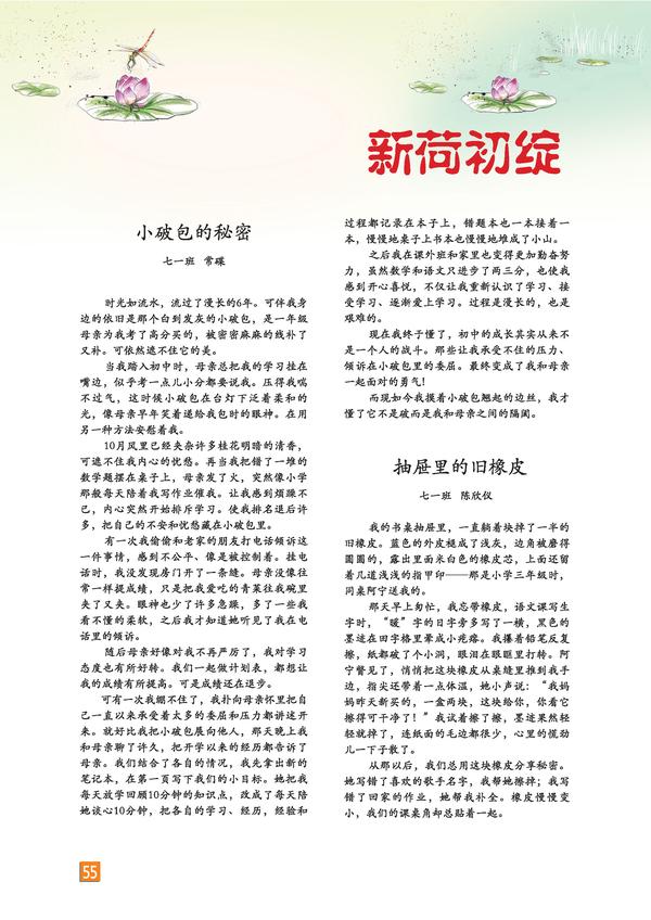 页码 (55)
