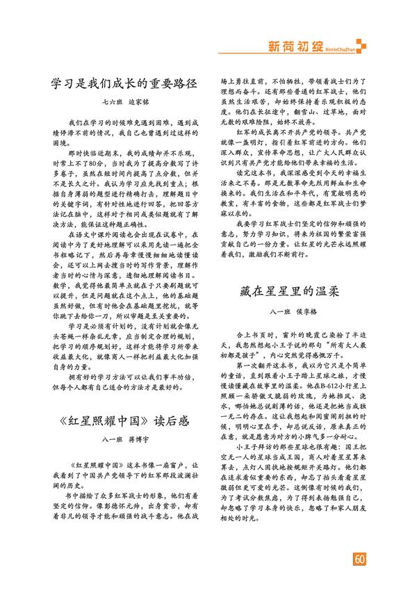 页码 (60)