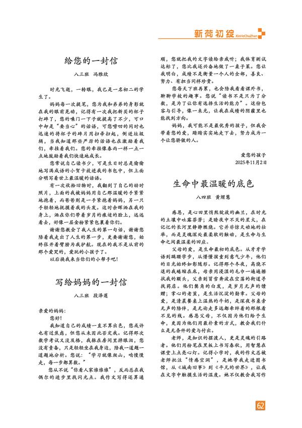 页码 (62)