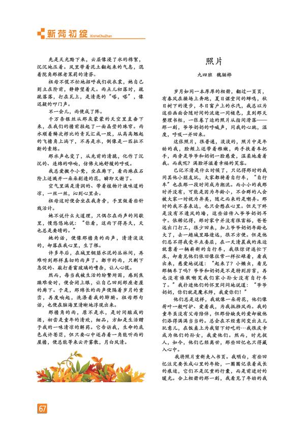 页码 (67)