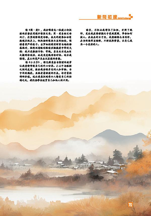 页码 (70)