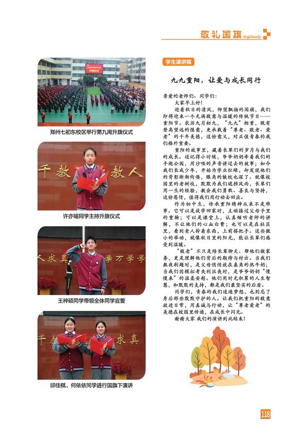 页码 (118)