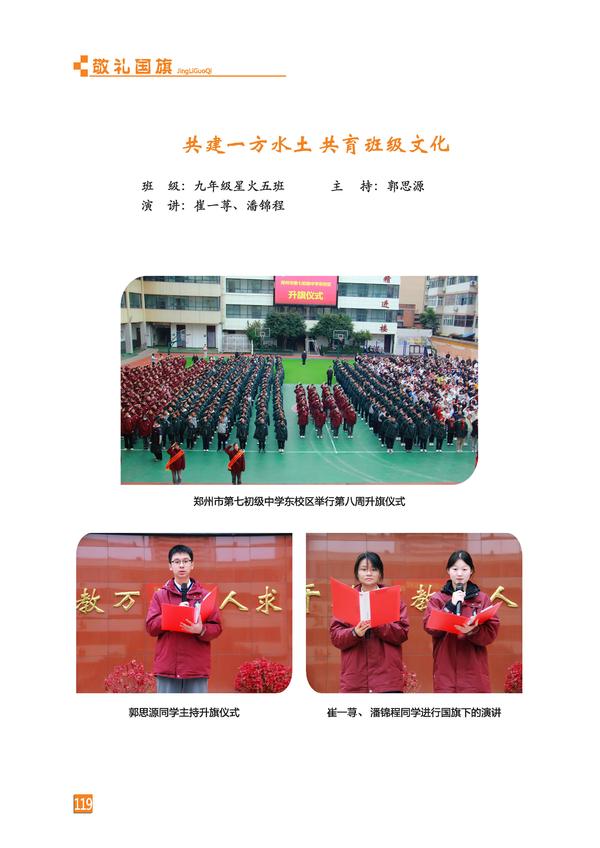 页码 (119)