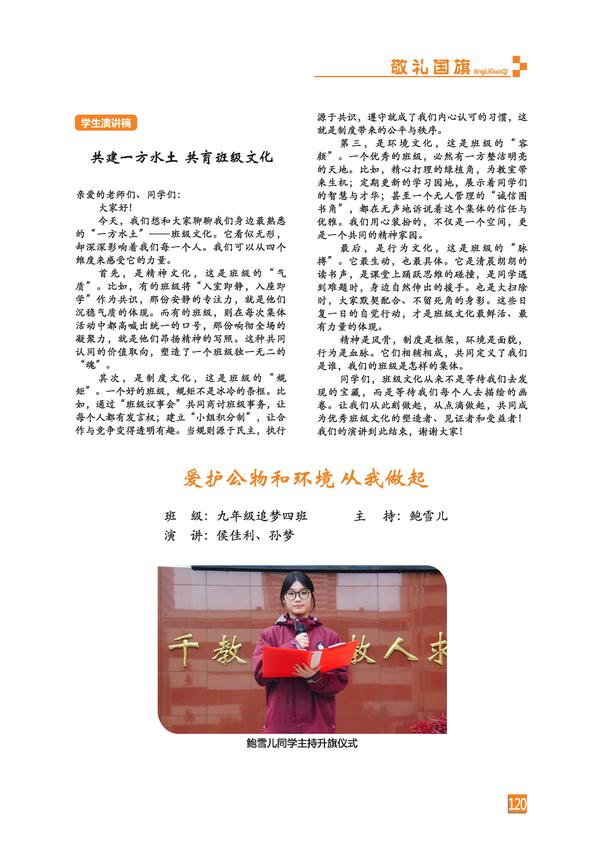 页码 (120)