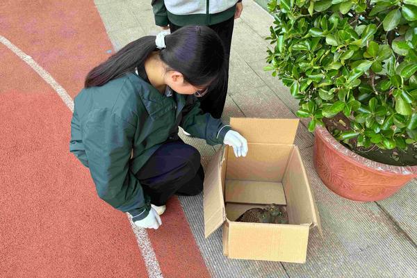 1.学生发现保护动物,并进行及时救助 1.学生发现保护动物,并进行及时救助