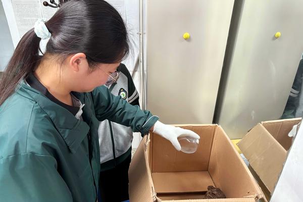 5.学生听从专业人员建议,给红脚鸮放置饮用水 5.学生听从专业人员建议,给红脚鸮放置饮用水